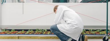 A research in a growth room in the Sir David Read Controlled Environment Facility